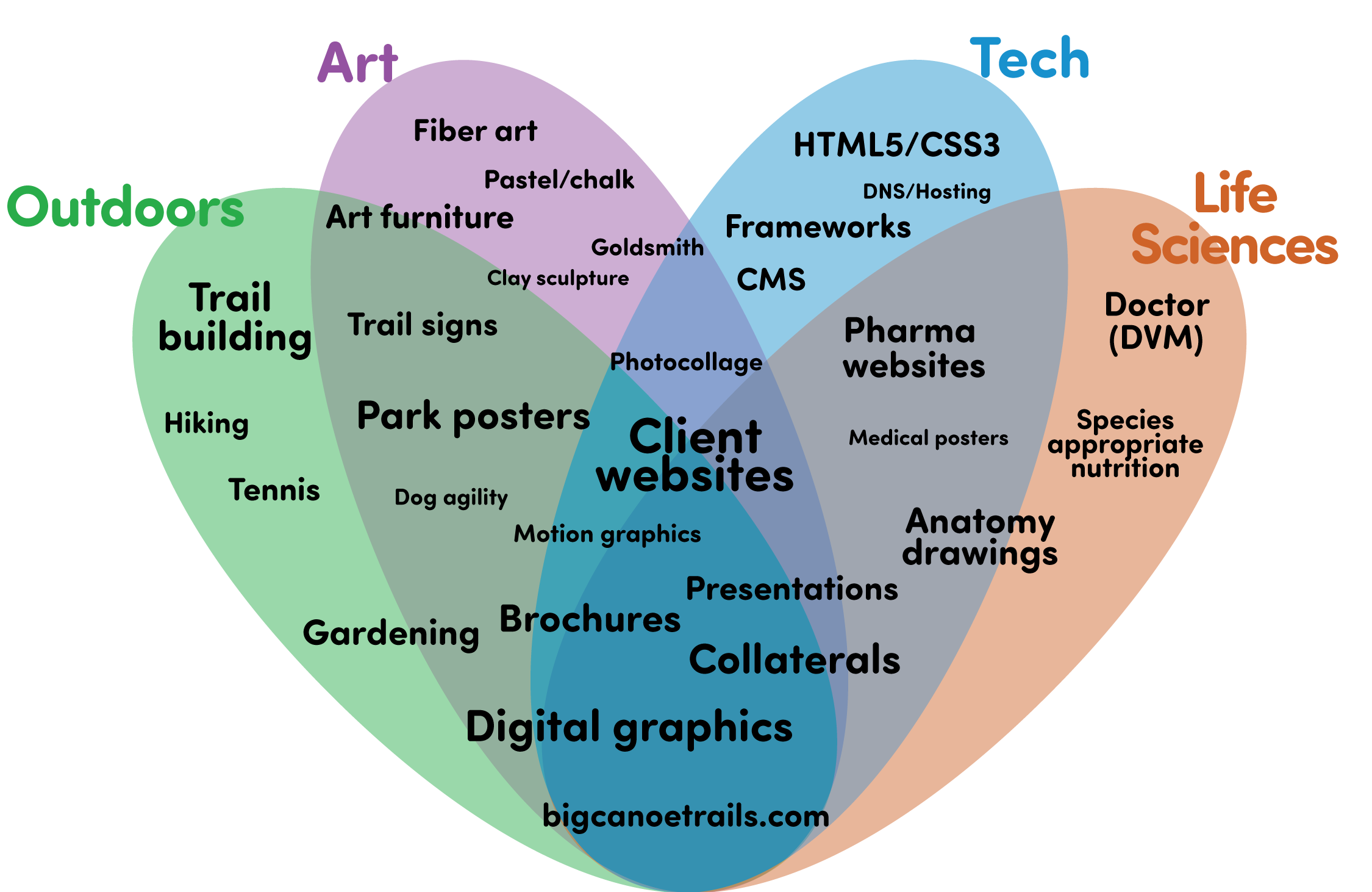Venn diagram of Liz Scherer's skills